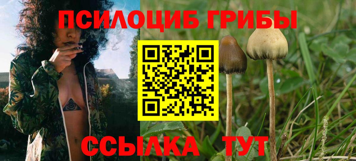 Псилоцибиновые грибы Magic Shrooms  Вход с VPN  Керчь 