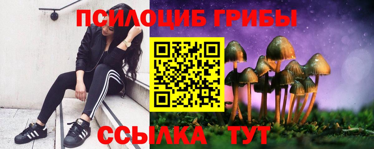 Псилоцибиновые грибы ЛСД Керчь